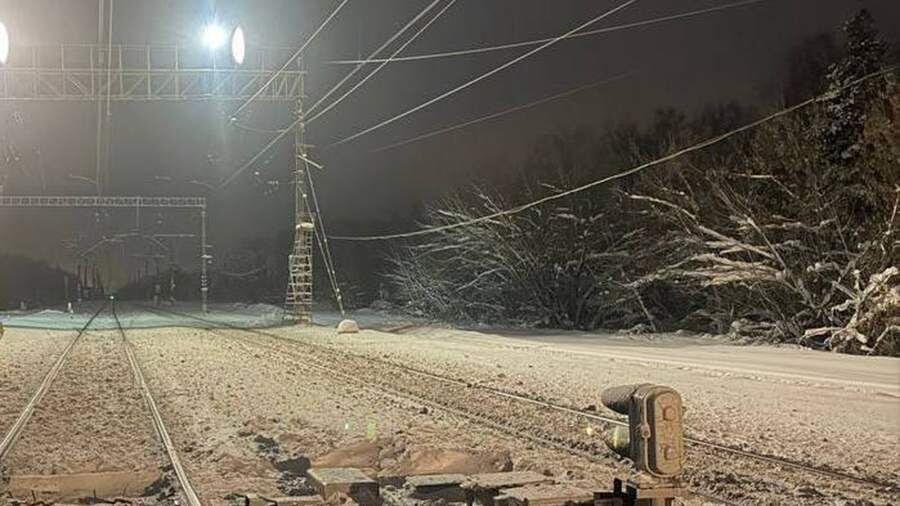    Фото: t.me/zmsutskr