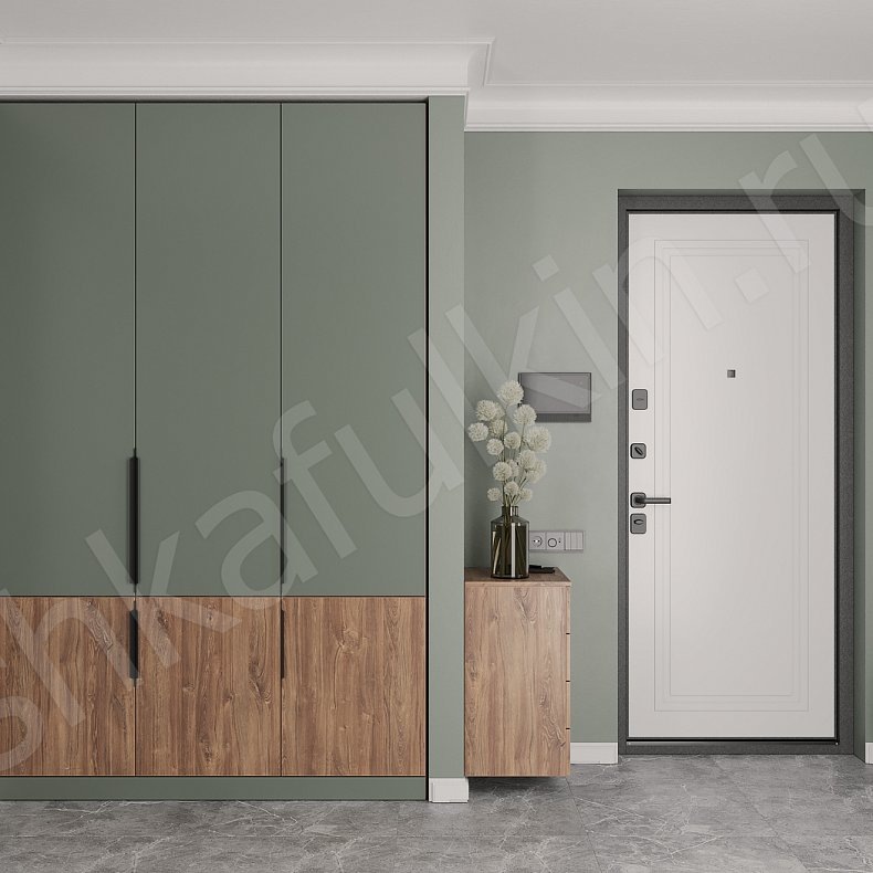 Шкафулькин 