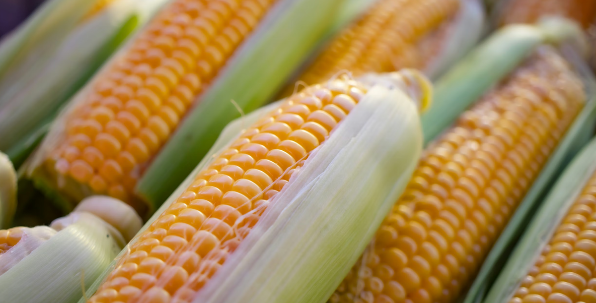     Wouter Supardi Salari/Unsplash