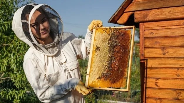 Женщина пчеловод