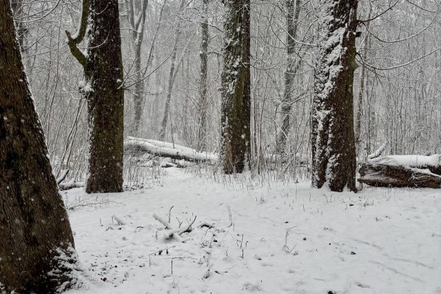   Фото из архива Калининград.Ru