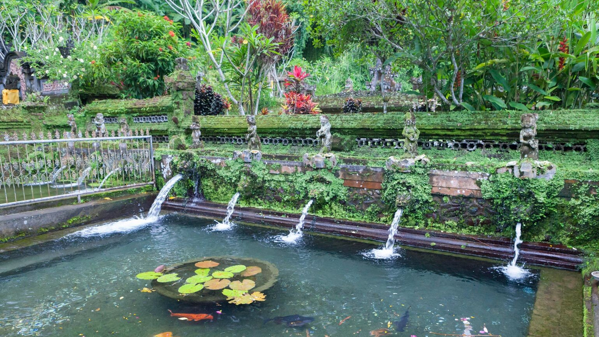 Фото: XYZ PICTURES/imageBROKER.com/Global Look Press