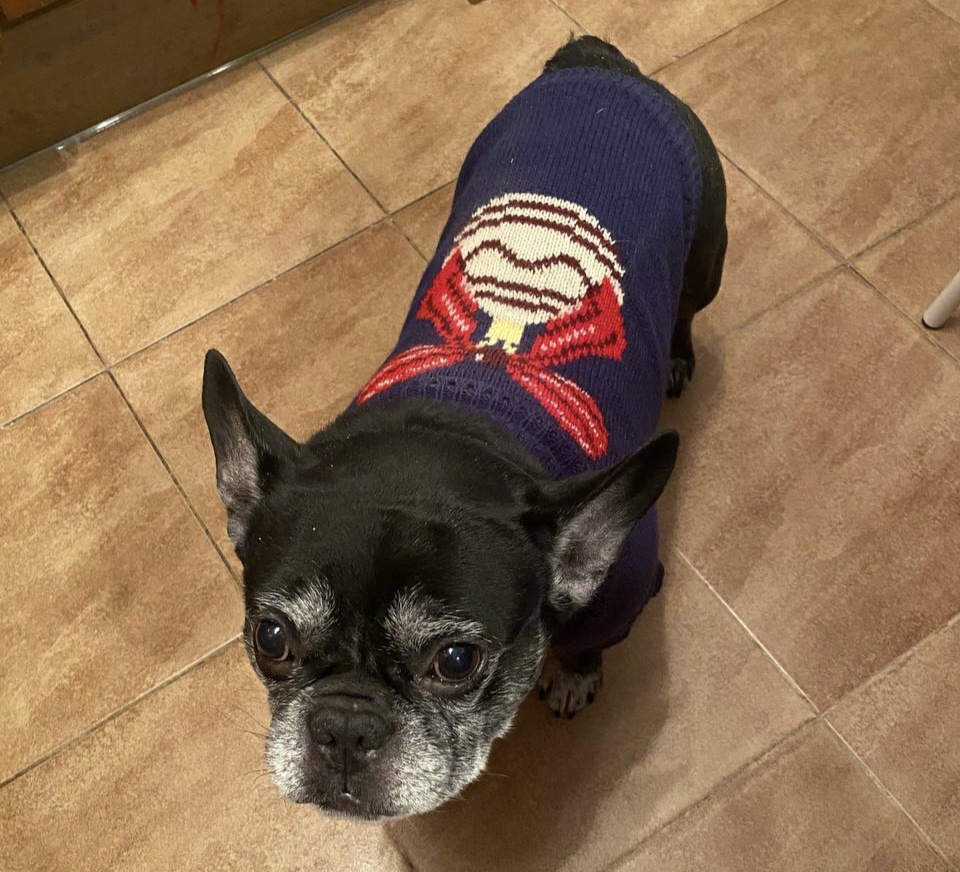 Новогодний Фимыч