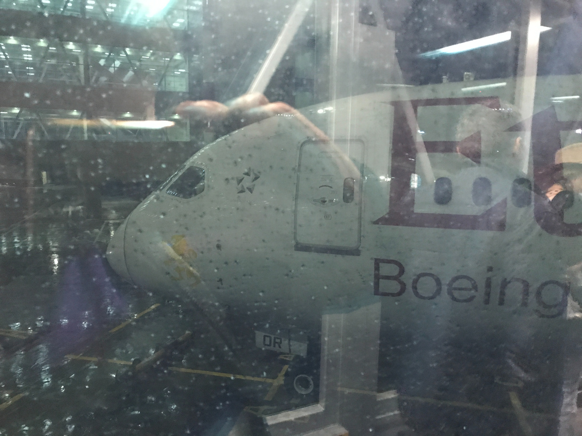 Boeing 787 Ethiopian Airlines в аэропорту "Домодедово"