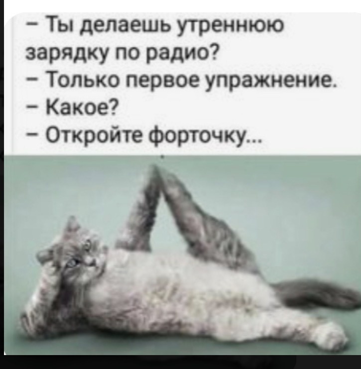 Фото взято из открытых источников интернета 