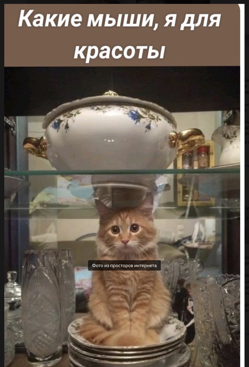 Фото взято из открытых источников интернета