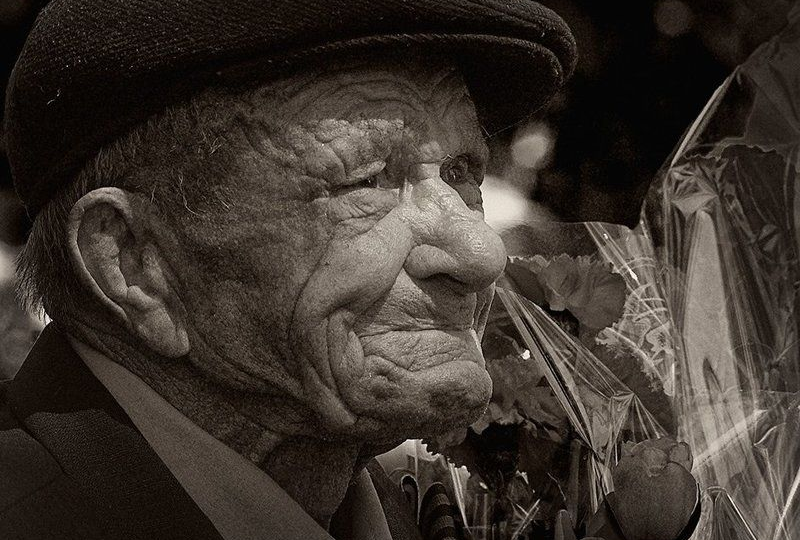 80 лет спустя чиновники пригнали бульдозеры на братскую могилу: старик с орденами на груди сделал то, на что не решилась полиция