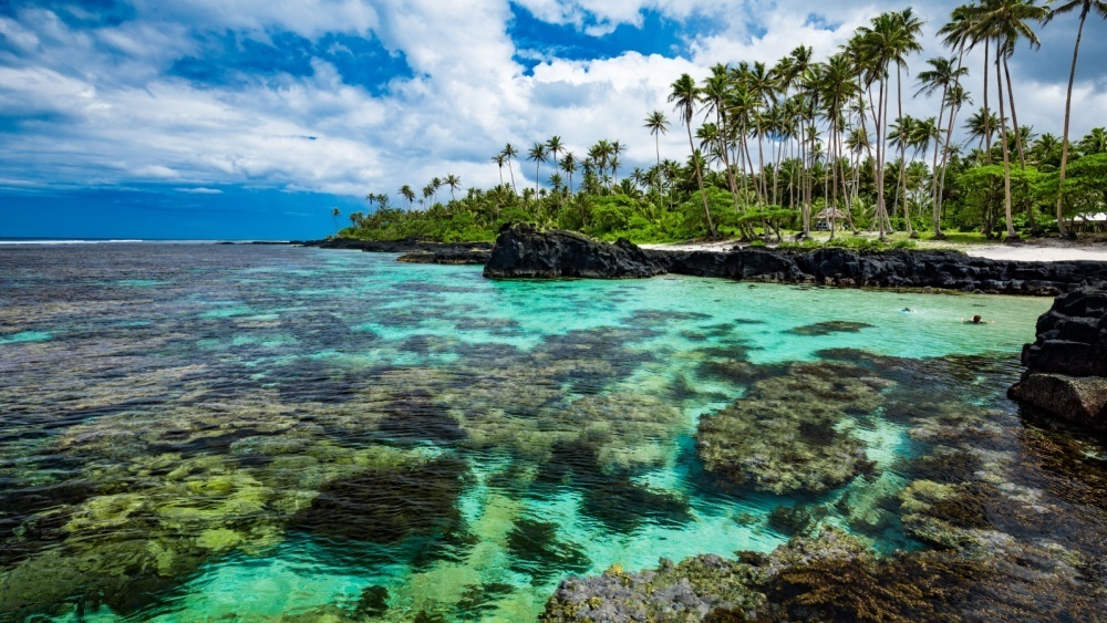     Фото: Martin Valigursky/Shutterstock/FOTODOM