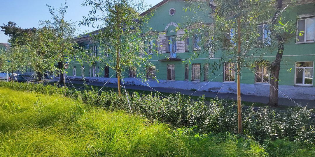 Сердце сироты. Глава 7.