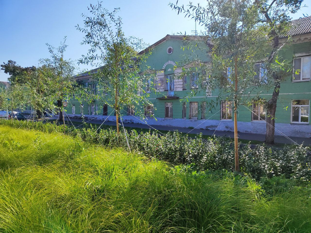 Фото автора.