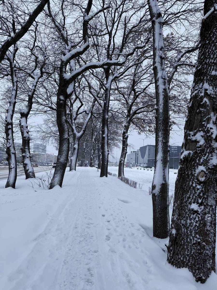 Краснодар второй день засыпает снегом ❄️⛸️