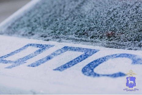    Фото ГУ МВД РФ по Самарской области