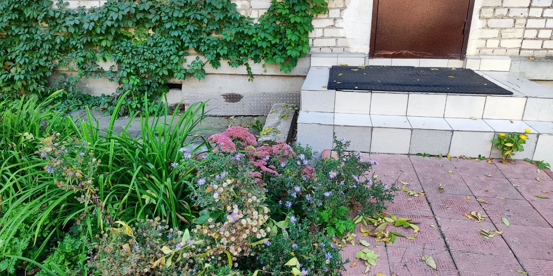 Сердце сироты. Глава 8.