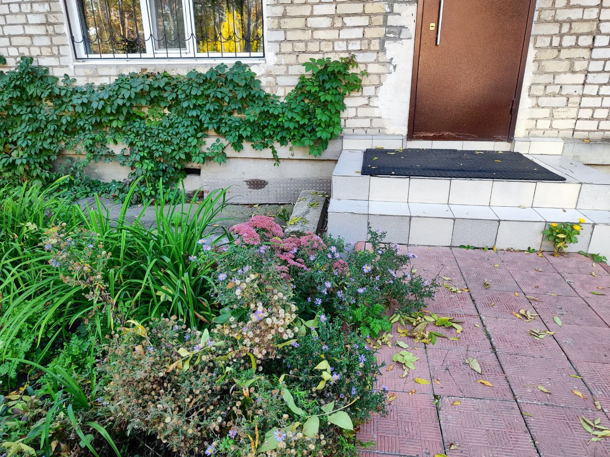 Фото автора.