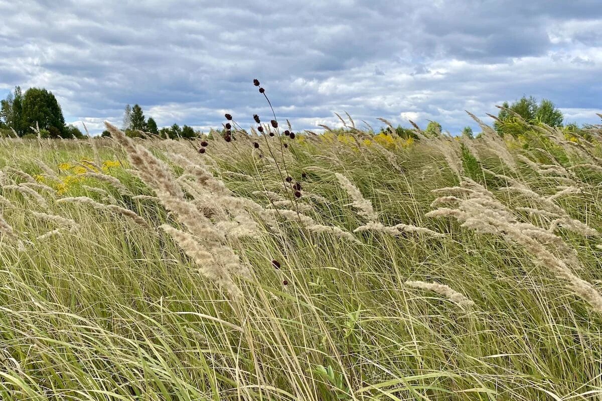 Фото: UfacityNews.ru