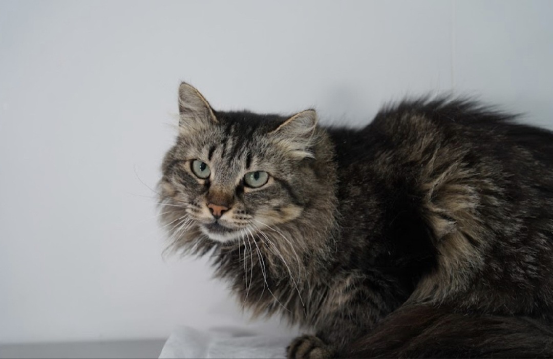 Марусечка💔