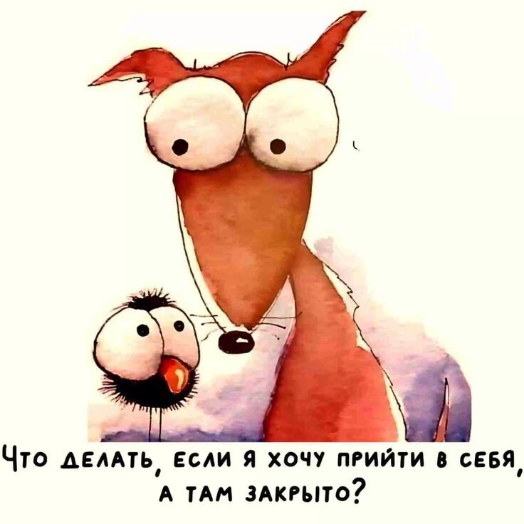 Картинка с интернета. https://ru.pinterest.com/pin/117726977752048909/