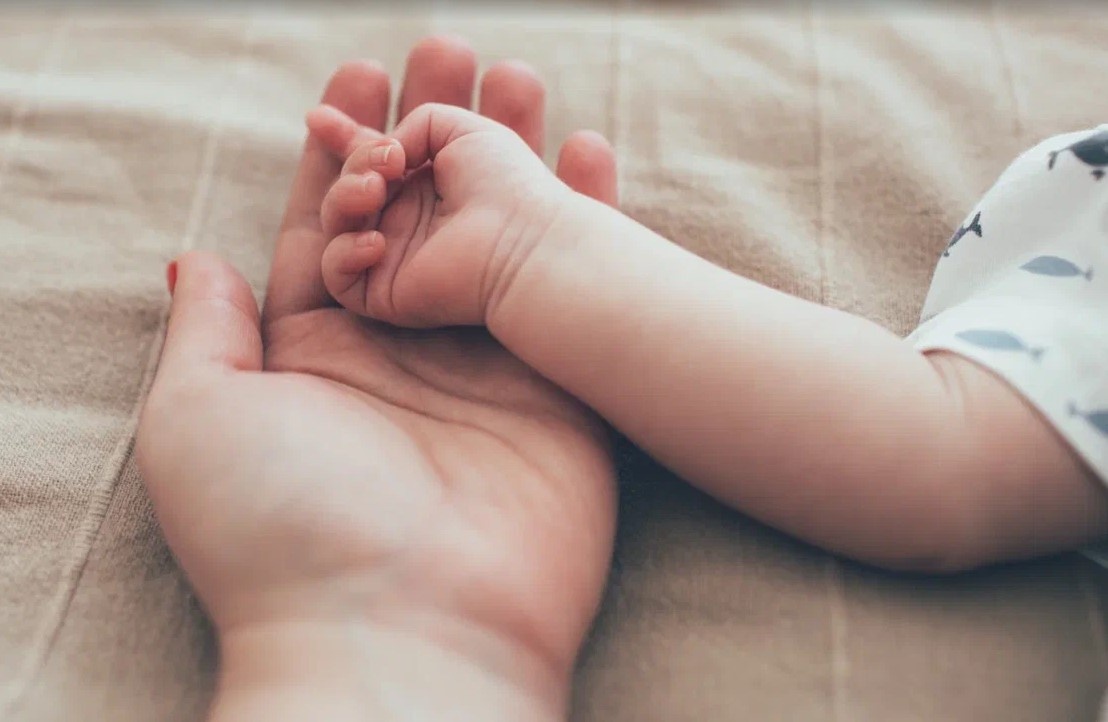    Valeriya Anufriyeva\shutterstock