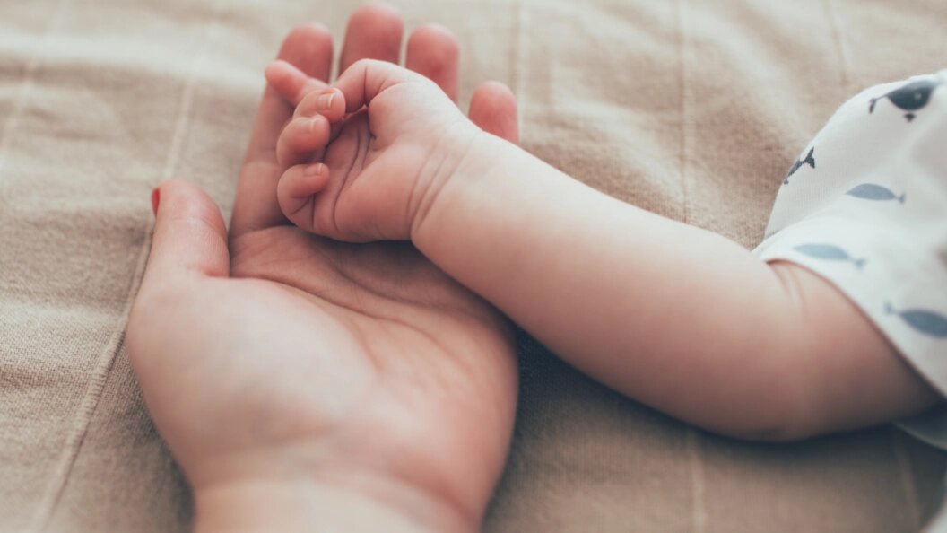    Фото: Valeriya Anufriyeva/shutterstock