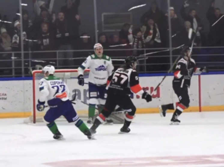     Источник: Федерация хоккея Тамбовской области