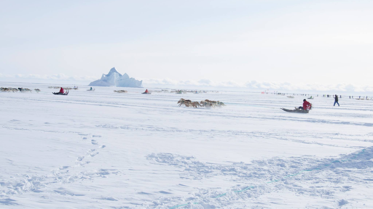   KNQK Qimussersuaq- Архивное фото