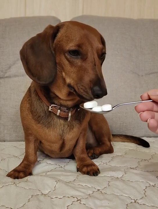 Лечемся от салютов