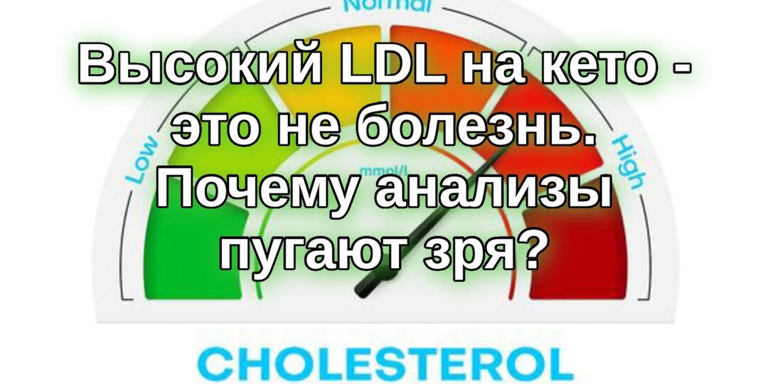 Высокий LDL на кето — это не болезнь. Почему анализы пугают зря?