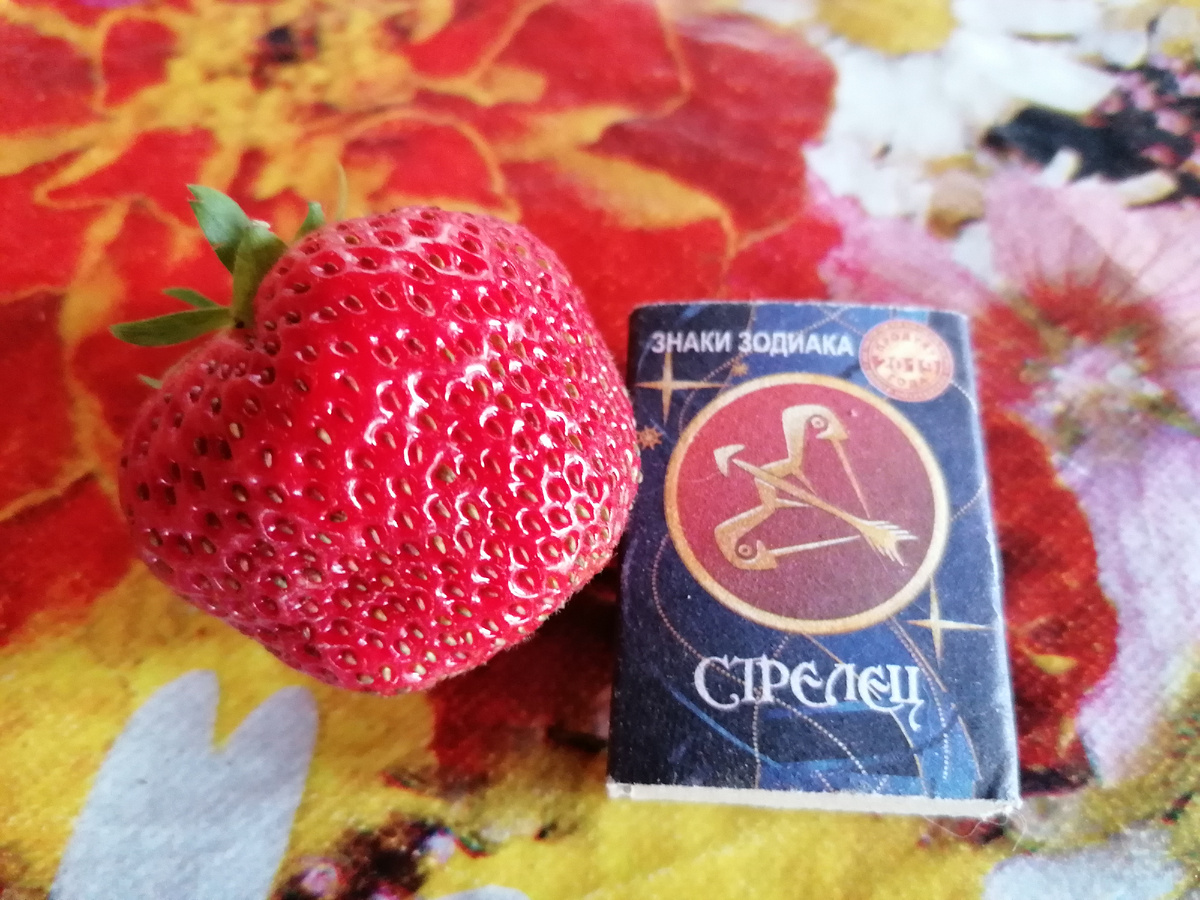 клубника Азия урожай 2025г