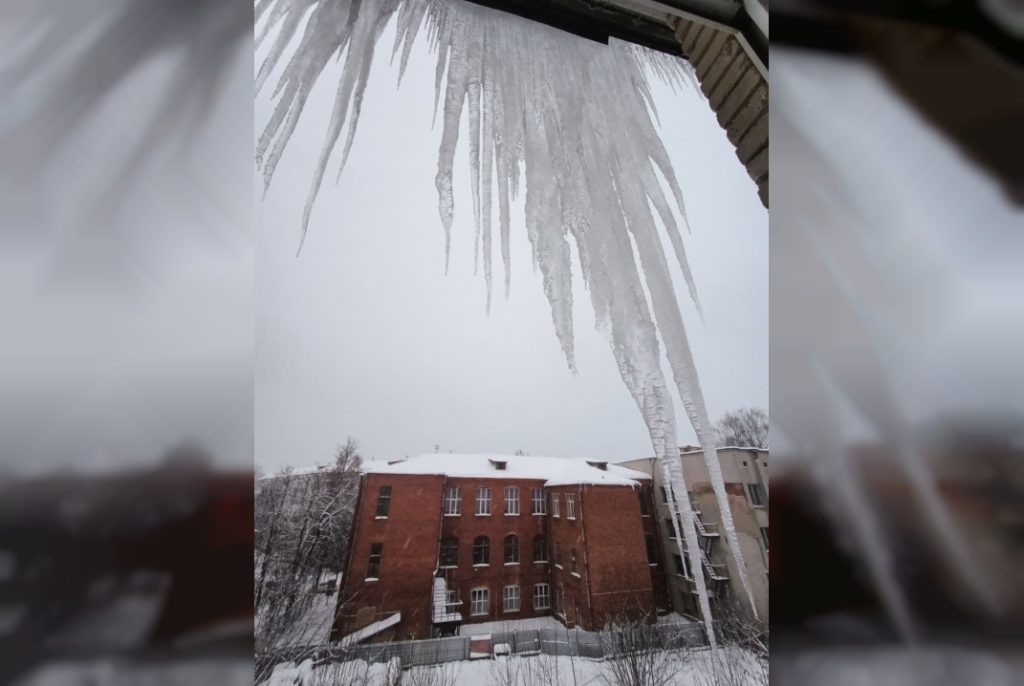    Фото: Главный региональный