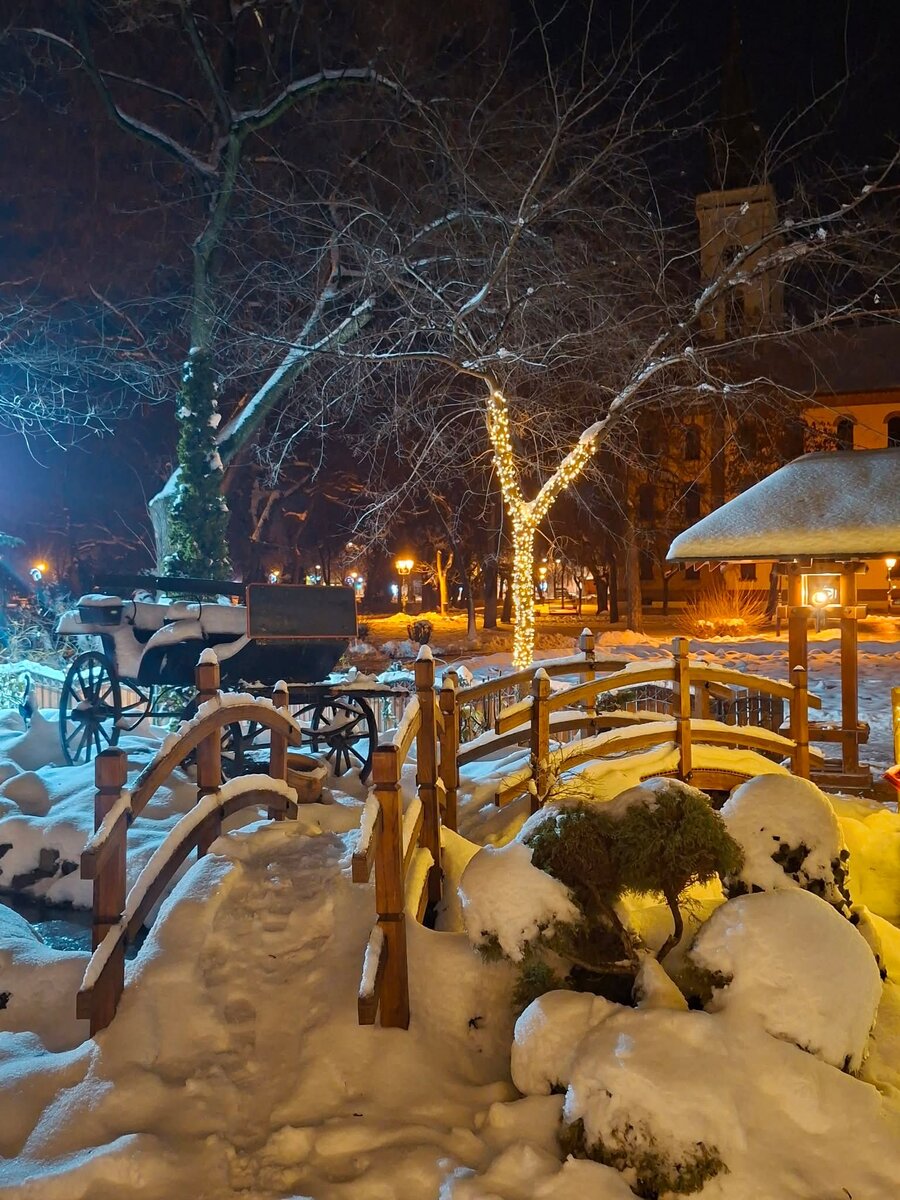 Фото принадлежит автору