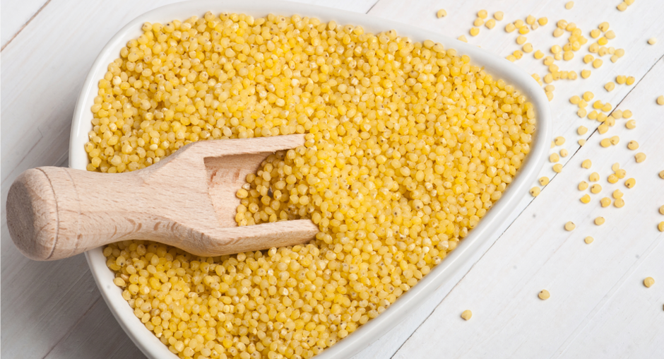 Пшено – полезный белковый продукт: рекомендации от экспертов ЦОК АПК