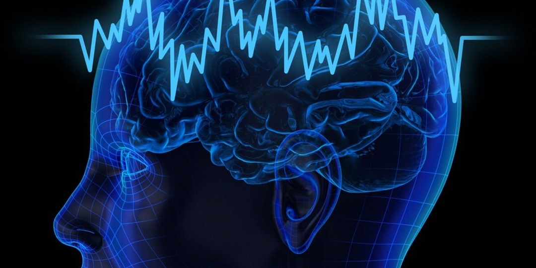 Почему наш мозг видит мир не таким, какой он есть и именно это помогает вам выжить