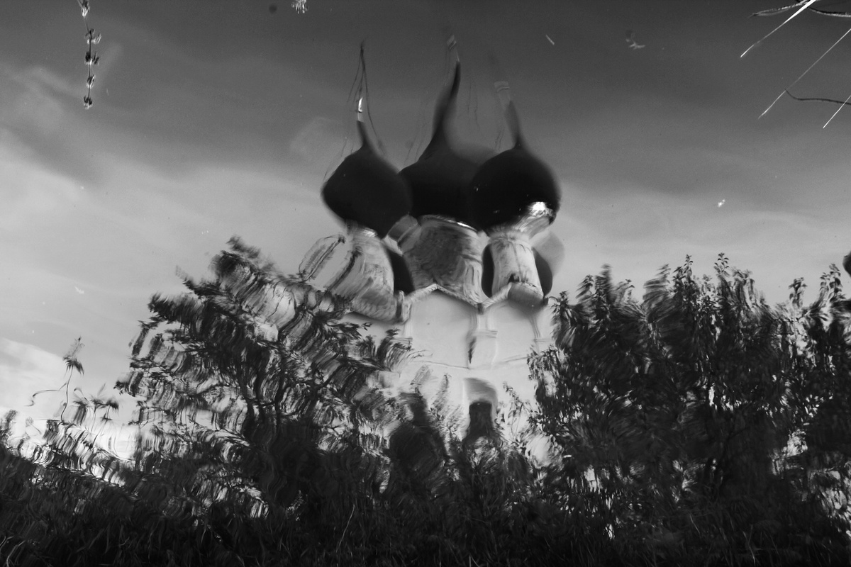 Фото: АЛИНА ЛИСИЦЫНА, Москва ИПЛФ-12