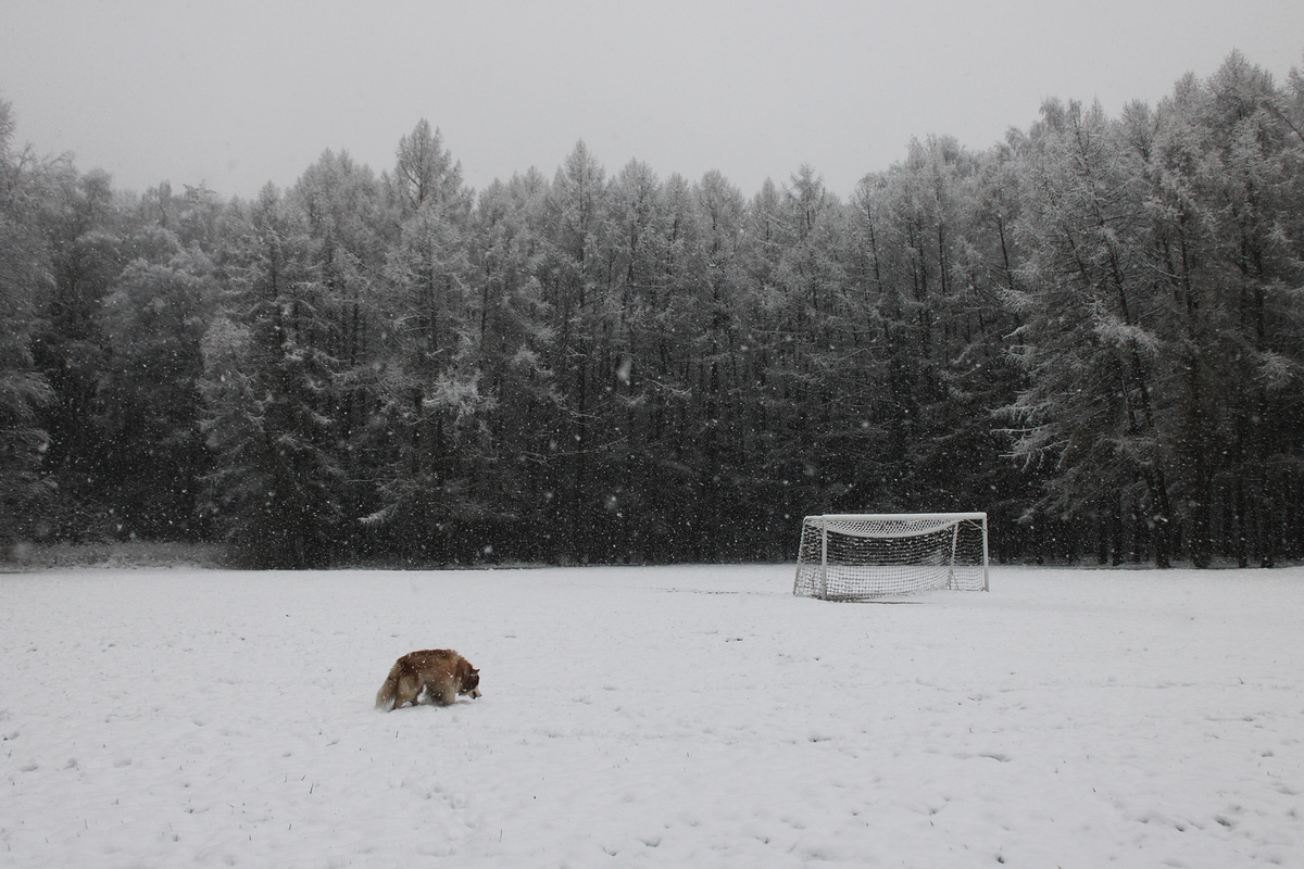 Фото: АЛИСА САМОЙЛОВА, Москва ИПЛФ-12