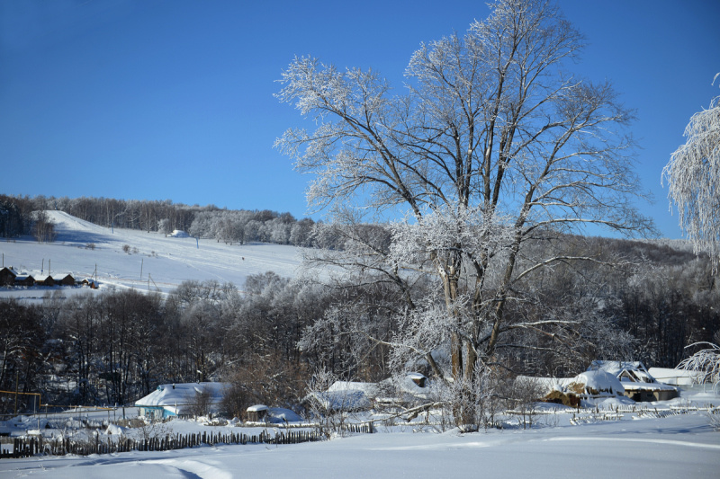    Фото: Царьград