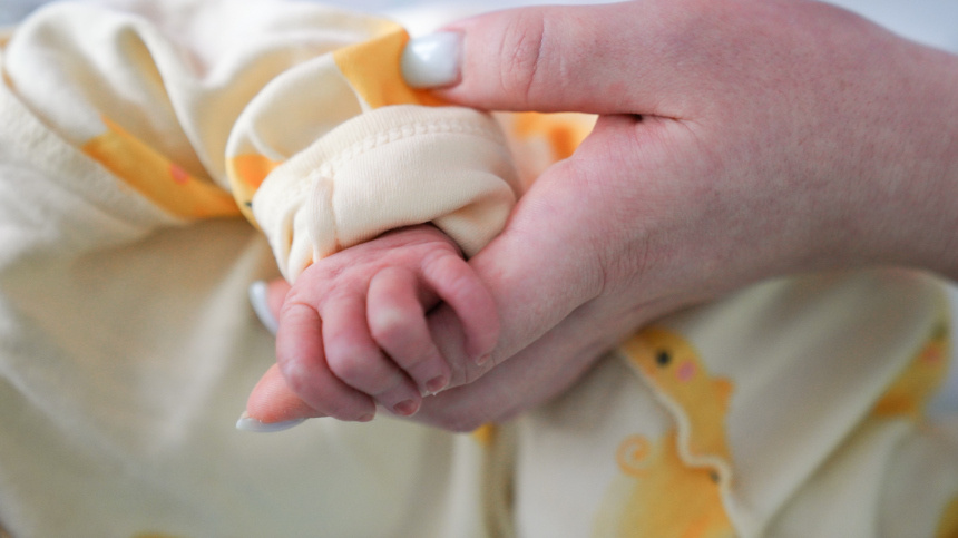    Фото: ИЗВЕСТИЯ/Анна Селина; 5-tv.ru