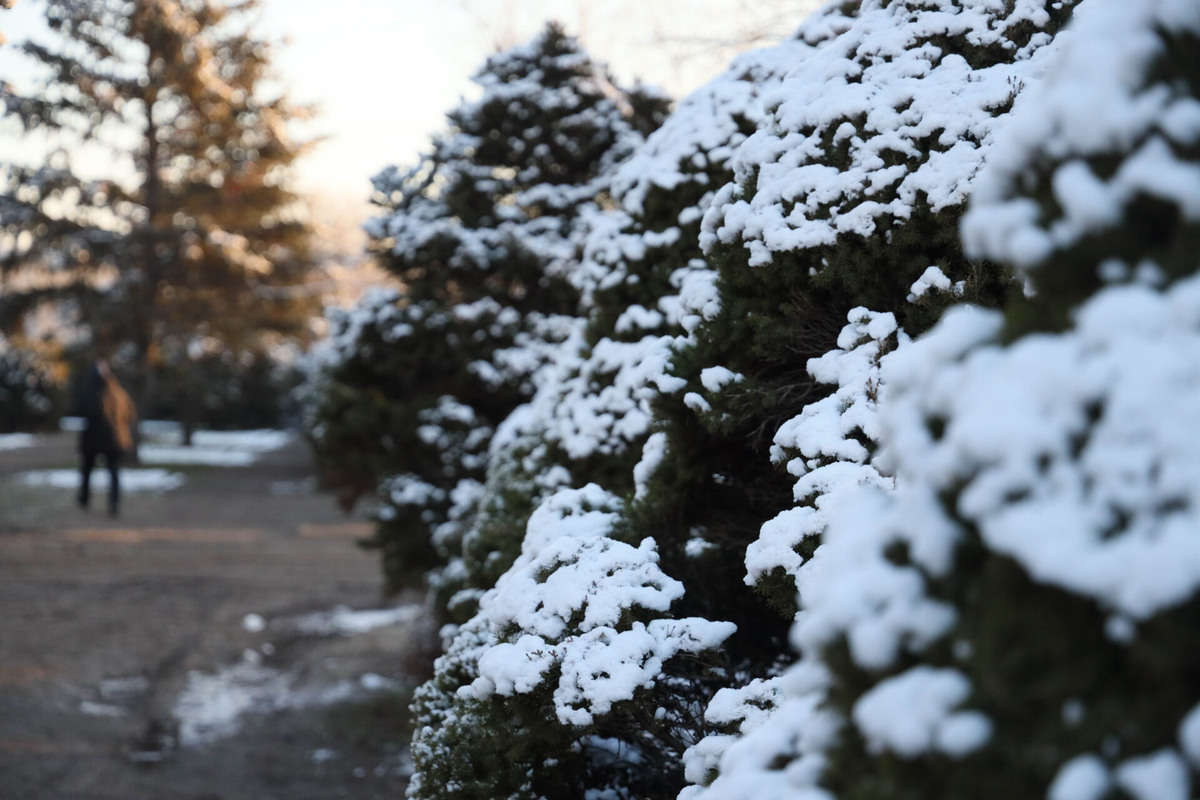    Фото: ТРК «Таврия»