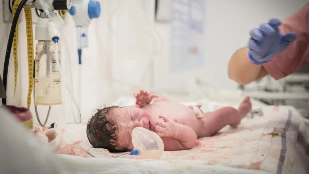    Фото: Emre Yen/Shutterstock/Fotodom