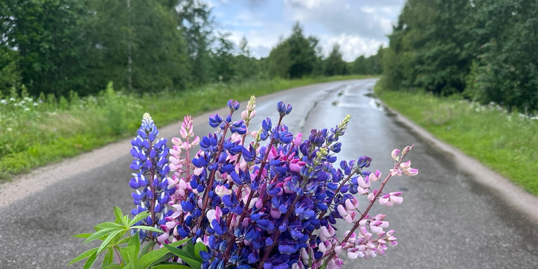Смысл, который понимают только "наши" - и вы тоже поймете!