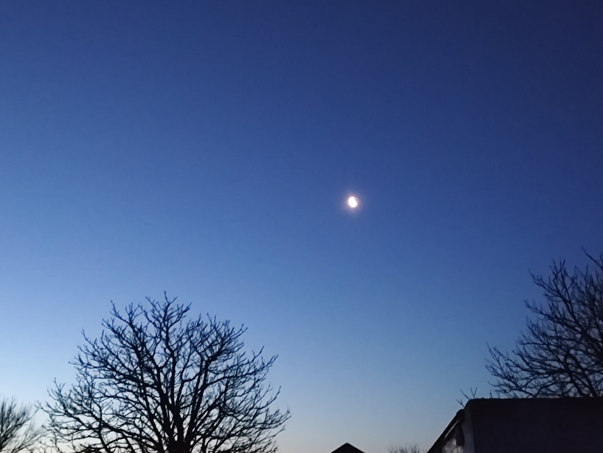 И Луна лунявая такая...