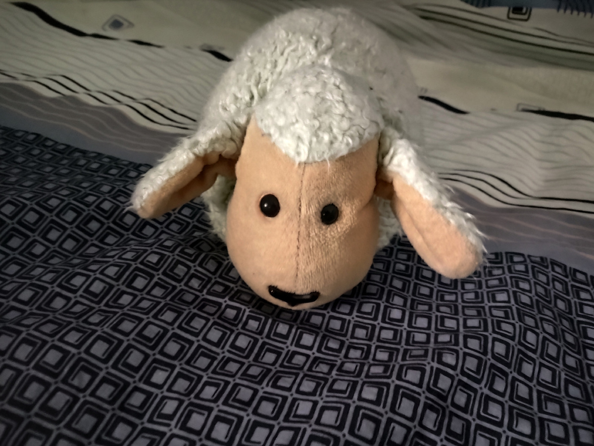 Вот моя любоффф )))