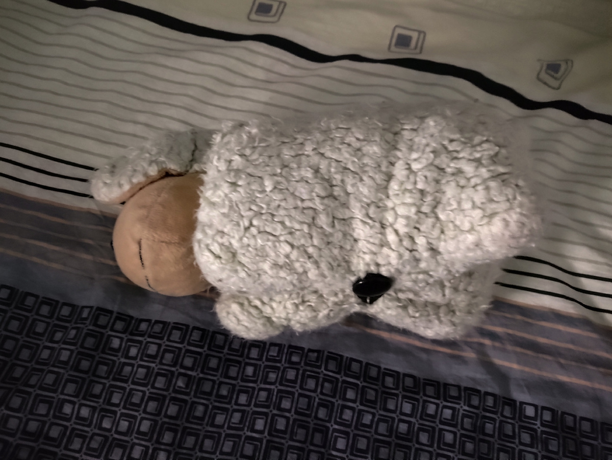 Внизу пуговка с петелькой