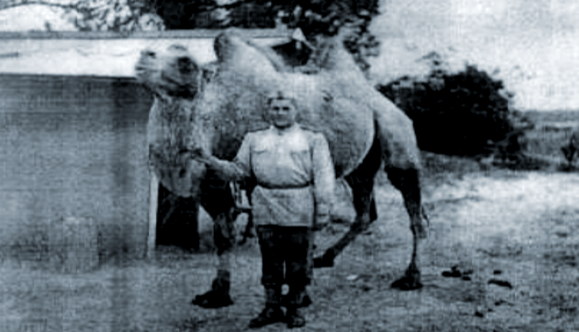 Советский солдат с верблюдом