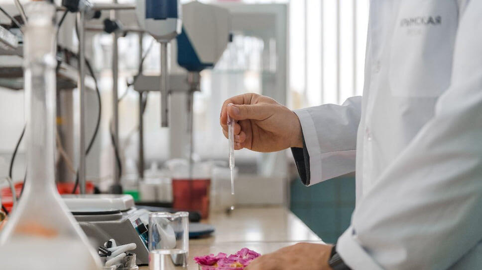 Фото: пресс-служба компании «Крымская Роза»