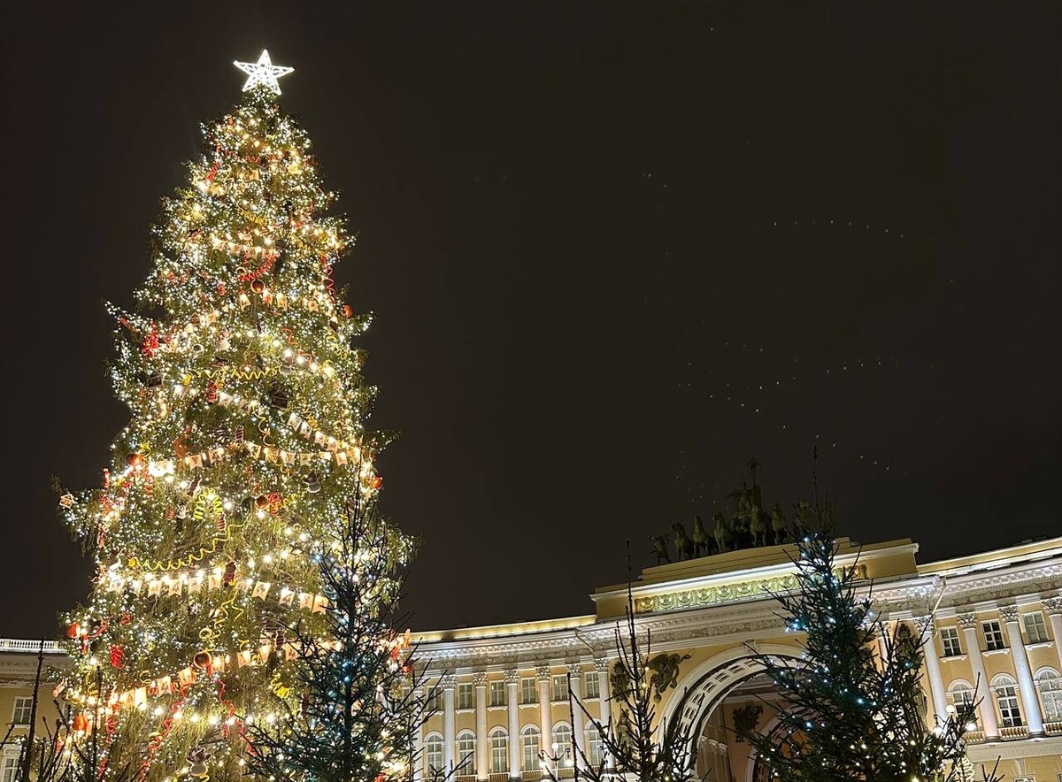     Фото: "Бриф24"