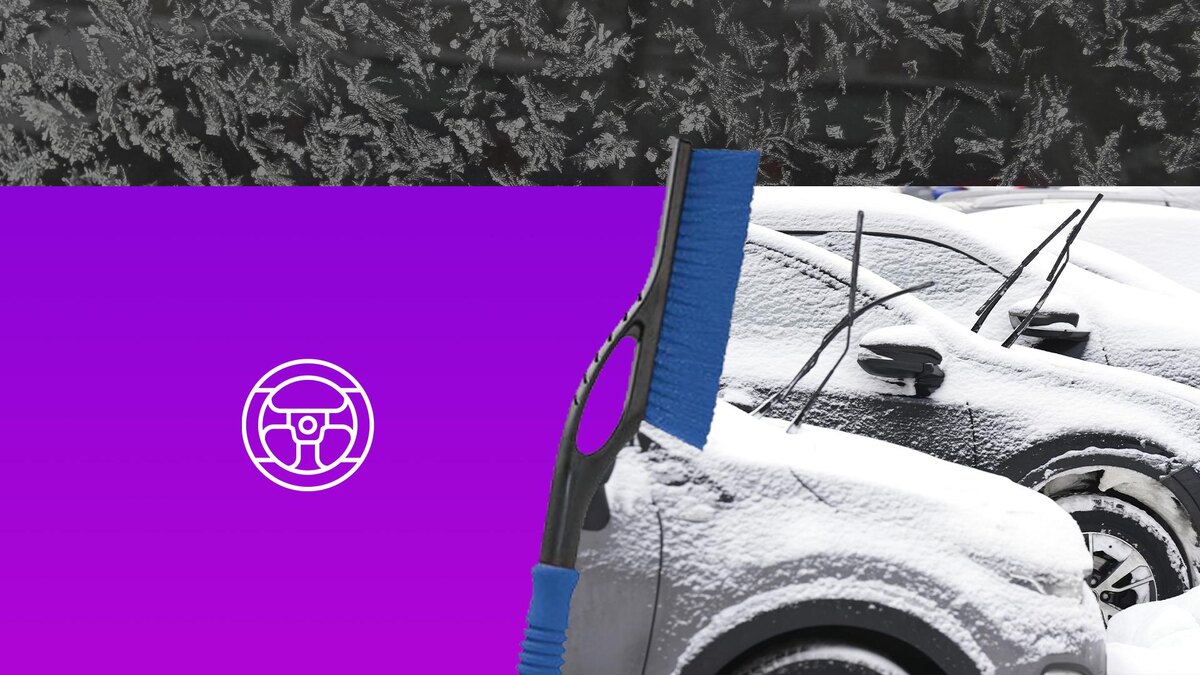 Коллаж 78.ru: IMAGO/Felix Schlikis/globallookpress.com, ИЗВЕСТИЯ/Дмитрий Коротаев, pngwing.com, flaticon.com/maswan