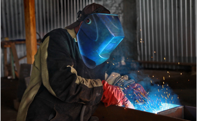    © Анастасия Илюшина / ЛенТВ24. Архивное фото