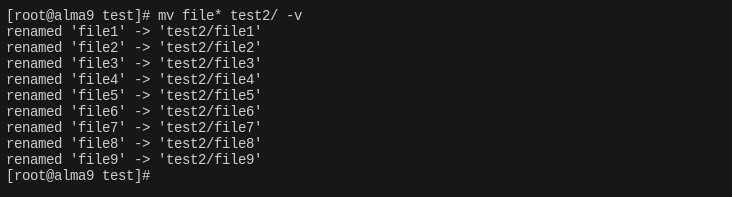 Флаг -v (verbose) — лучший друг новичка. Он заставляет команду «говорить» и докладывать о каждом перемещенном файле.