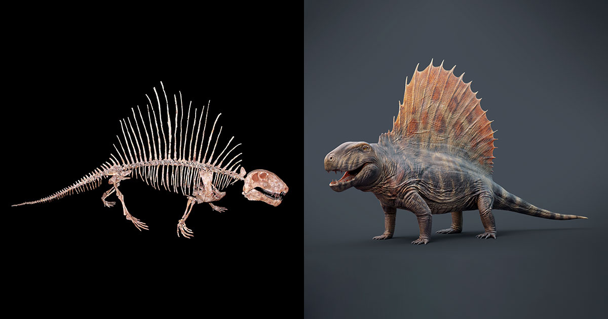 H. Zell & Max Bellomio / Wikipedia