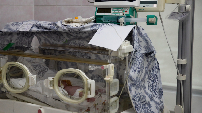    Фото: © РИА Новости/Виталий Тимкив